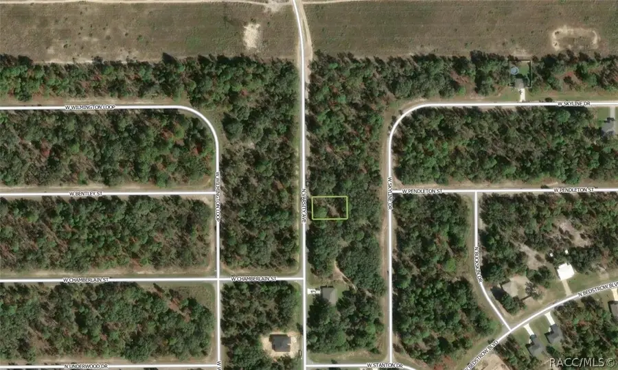 6719 N Varsity Avenue, Citrus Springs, FL 34434 - #2