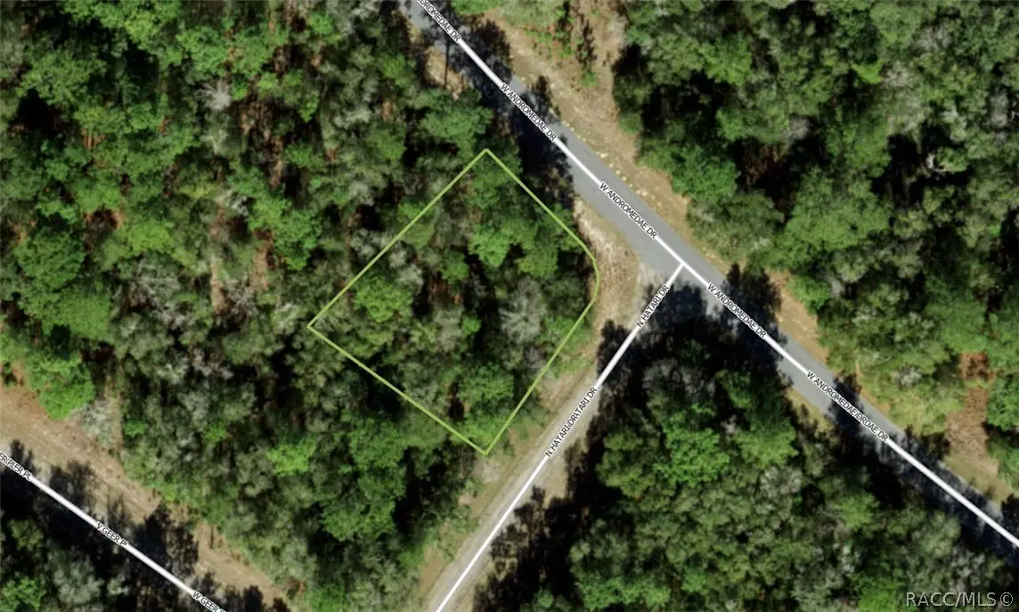 2130 W Andromedae Drive, Citrus Springs, FL 34434 - #1