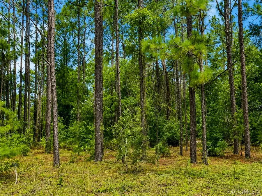 7938 N Ryan Way, Citrus Springs, FL 34434 - #3