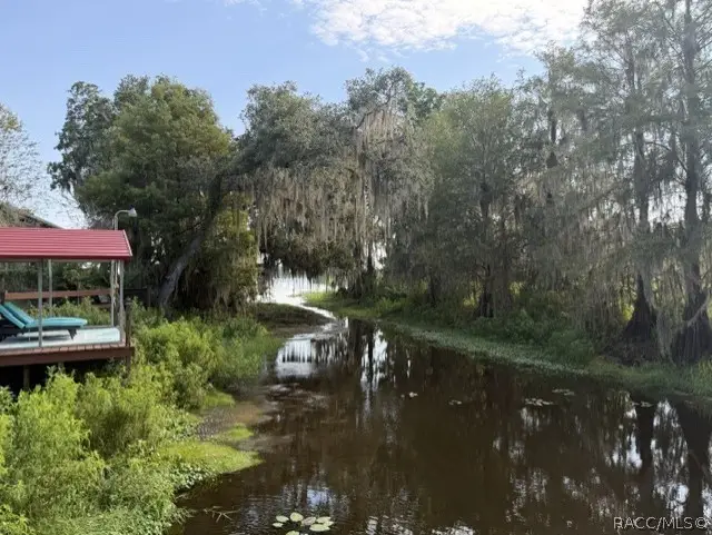 4218 E Lake Park Drive, Hernando, FL 34442 - #3