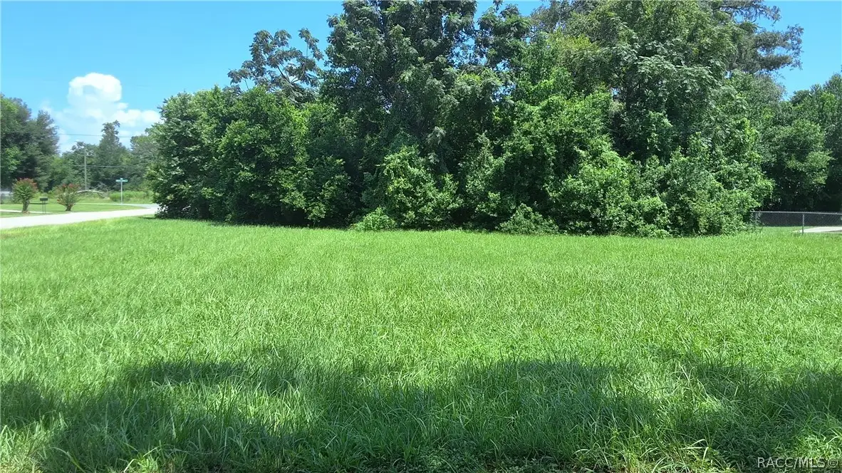 704 Randolph Avenue, Inverness, FL 34453 - #1