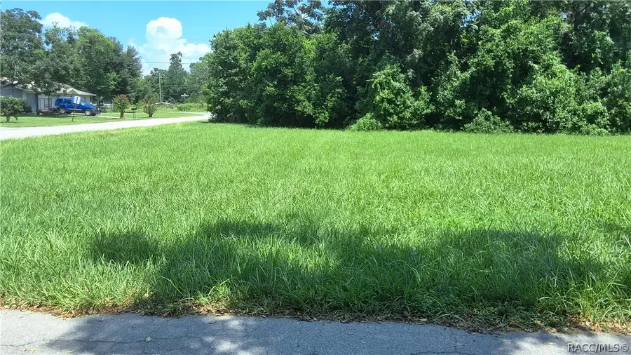 704 Randolph Avenue, Inverness, FL 34453 - #3