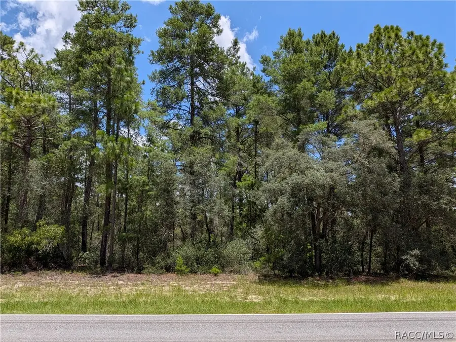 3737 W Century Boulevard, Citrus Springs, FL 34433 - #2