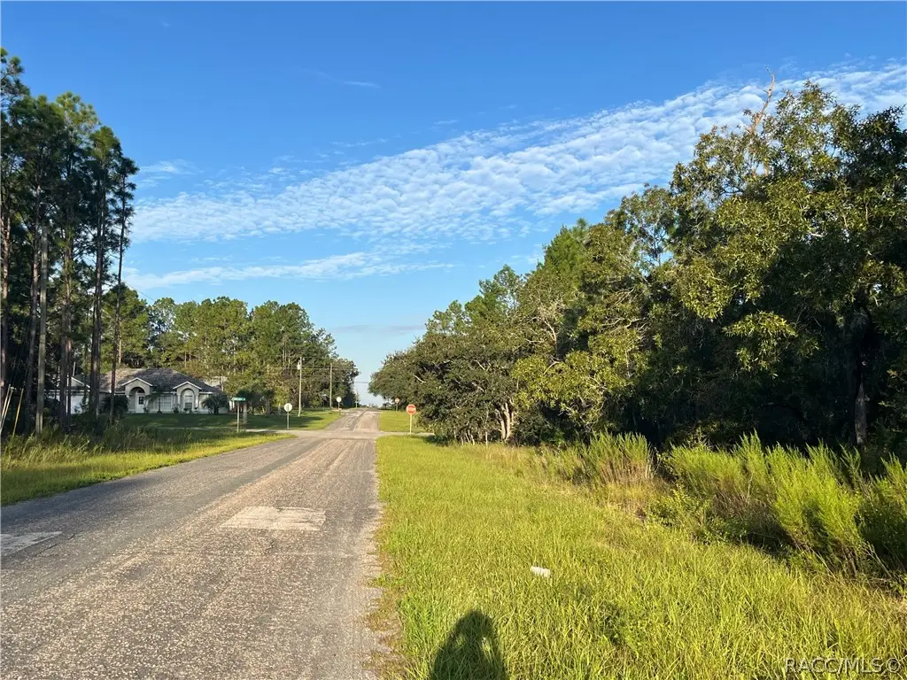 849 W Hummingbird Drive, Citrus Springs, FL 34434 - #1