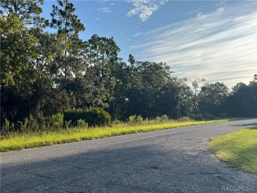 849 W Hummingbird Drive, Citrus Springs, FL 34434 - #2