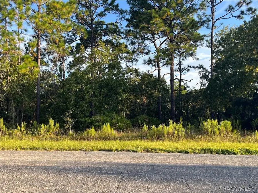 849 W Hummingbird Drive, Citrus Springs, FL 34434 - #3
