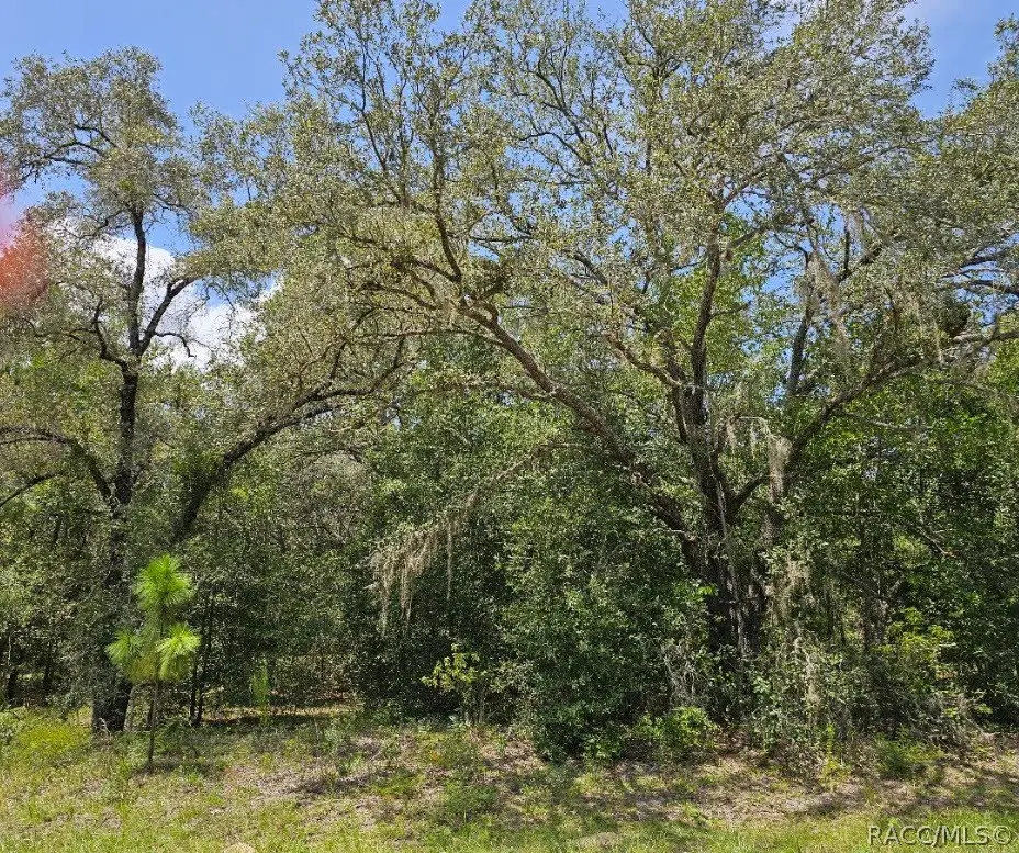 1368 W Evergreen Drive, Dunnellon, FL 34434 - #1