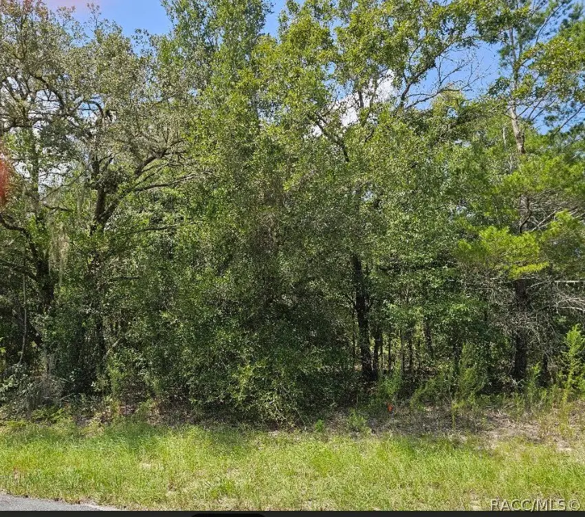 1368 W Evergreen Drive, Dunnellon, FL 34434 - #2