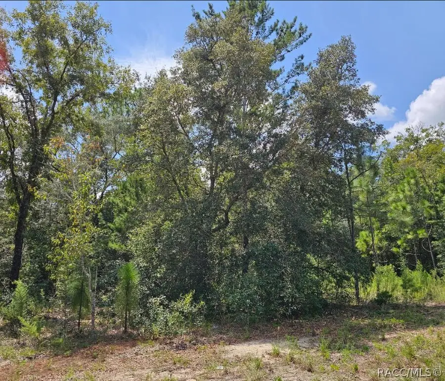 1368 W Evergreen Drive, Dunnellon, FL 34434 - #3