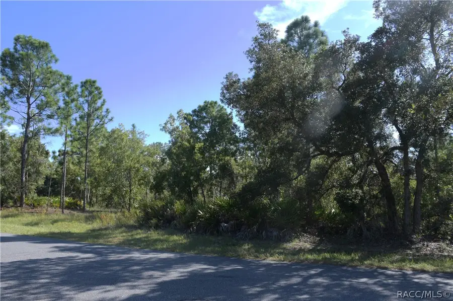 10 Asparagus Court, Homosassa, FL 34446 - #2