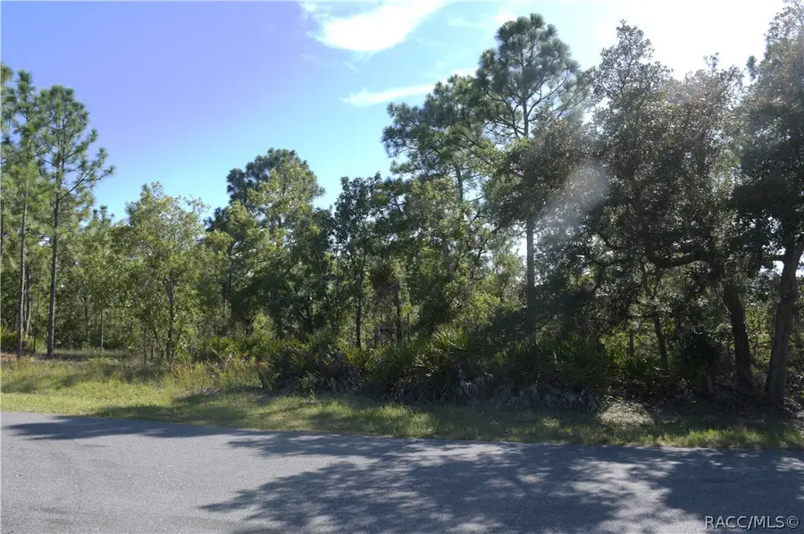 10 Asparagus Court, Homosassa, FL 34446 - #3