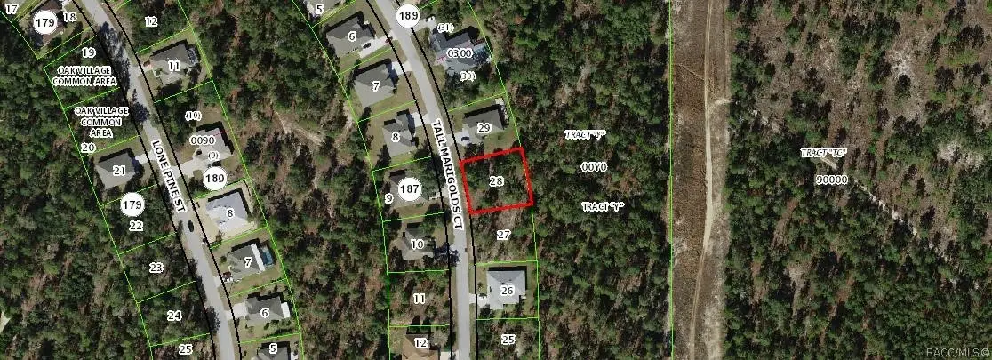 20 Tall Marigolds Court, Homosassa, FL 34446 - #1