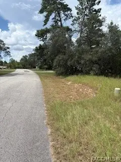 20 Tall Marigolds Court, Homosassa, FL 34446 - #3