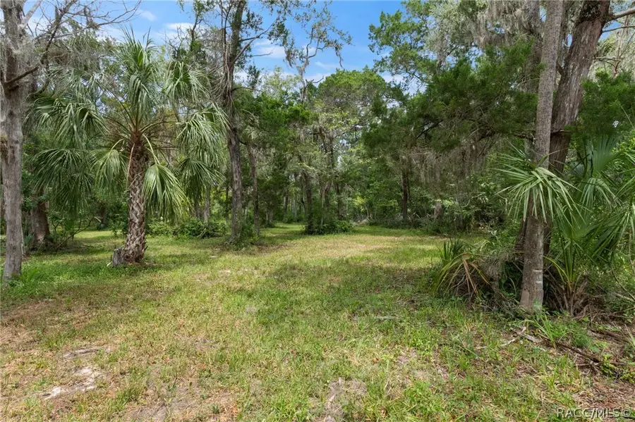 6929 S Haulover Point, Homosassa, FL 34448 - #2