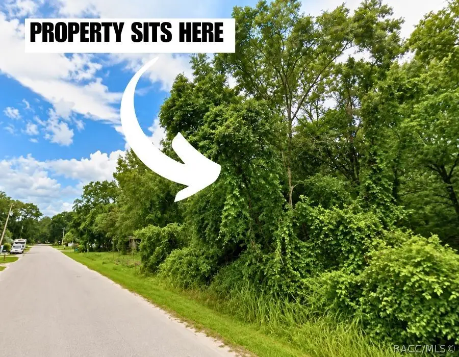 0 Helena Street, New Port Richey, FL 34654 - #2