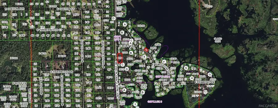 5075 N Carl G Rose Highway, Hernando, FL 34442 - #3