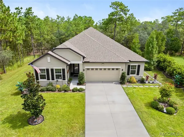 16 Elder Court E, Homosassa, FL 34446