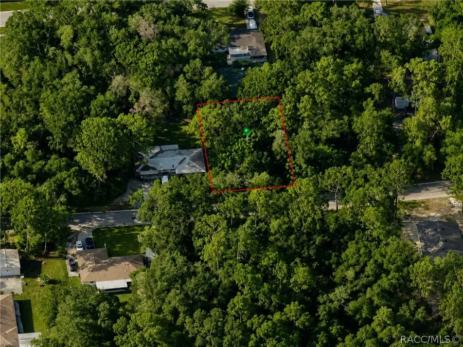 5975 E Calico Lane, Inverness, FL 34452 - #2