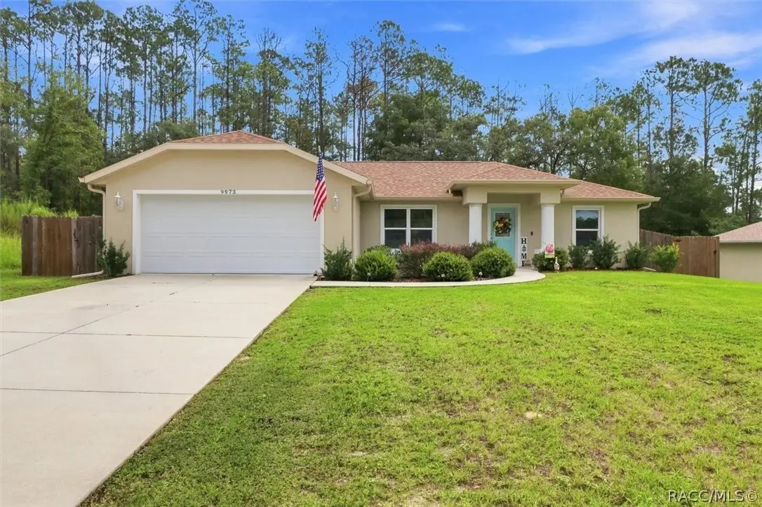 9973 N Chelic Drive, Citrus Springs, FL 34434 - #1