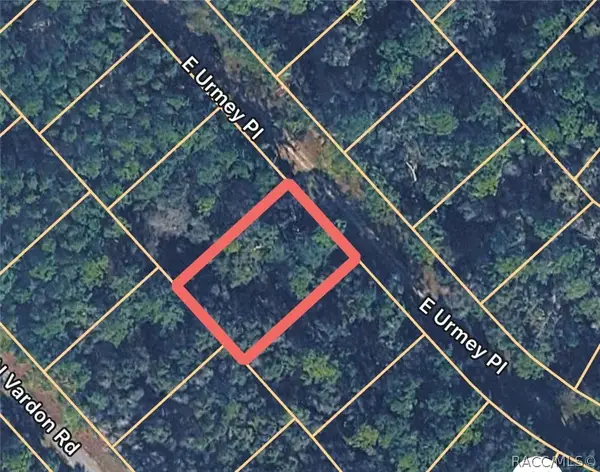 1148 E Urmey Place, Citrus Springs, FL 34434