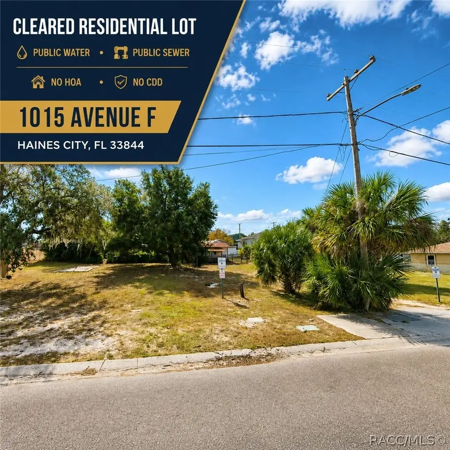 1015 Avenue F, Haines City, FL 33844 - #1