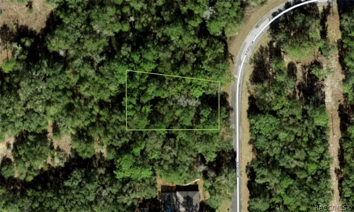 11308 N Fuego Drive, Citrus Springs, FL 34434 - #1