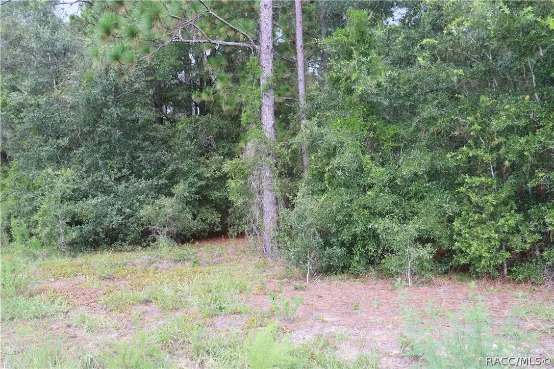 00 SW Floral Court, Dunnellon, FL 34431 - #1