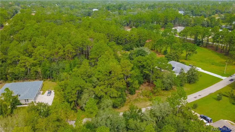 5960 N Rosebark Way, Beverly Hills, FL 34465 - #3