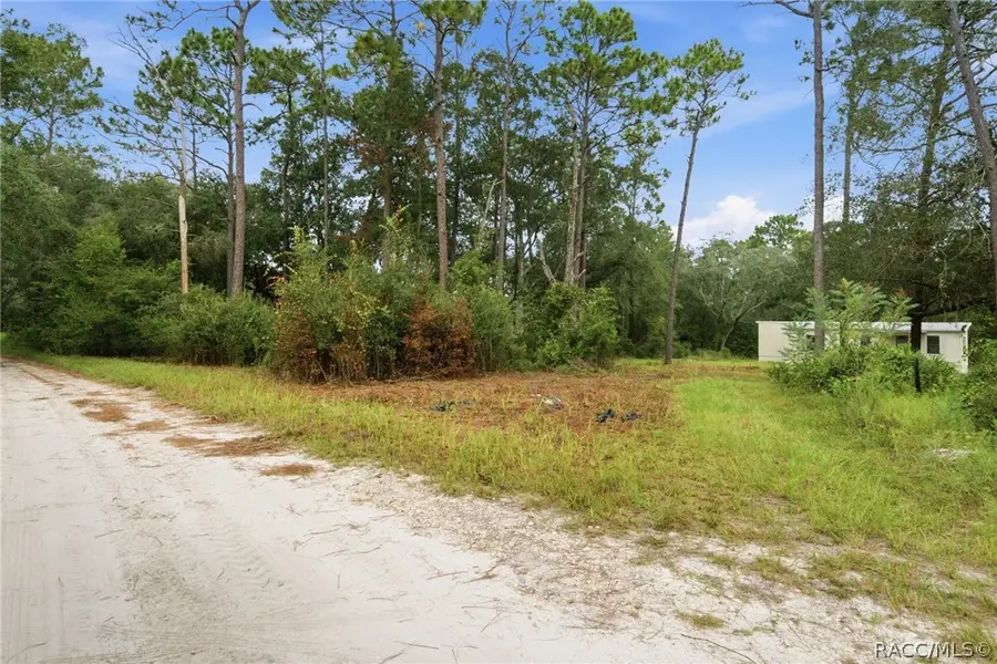 8565 SW 156th Place, Dunnellon, FL 34432 - #2