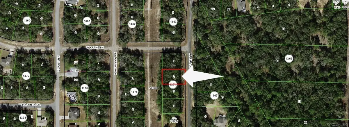 10732 N Academy Drive, Citrus Springs, FL 34434 - #1