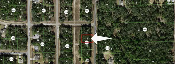 10732 N Academy Drive, Dunnellon, FL 34434