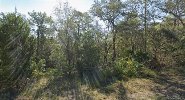 91 N West Avenue, Inverness, FL 34453