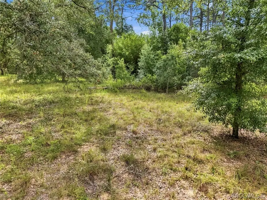 89 S Haid Terrace, Lecanto, FL 34461 - #3