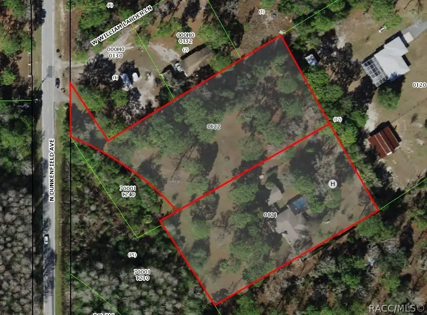 1595 N Dunkenfield Avenue, Crystal River, FL 34429 - #2