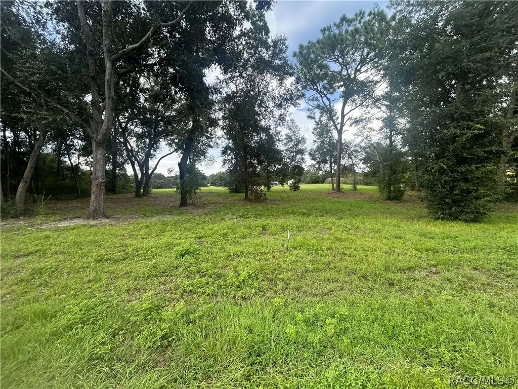 703 E Dunbar Lane, Hernando, FL 34442 - #1