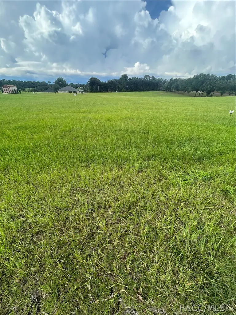 591 E Connecticut Lane, Hernando, FL 34442 - #1