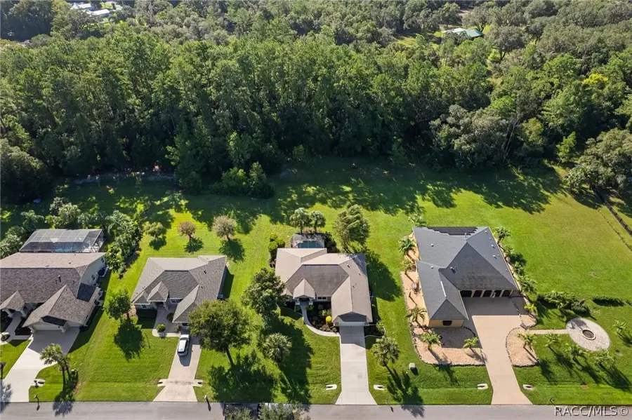 11845 N Bluff Cove Path, Dunnellon, FL 34434 - #3