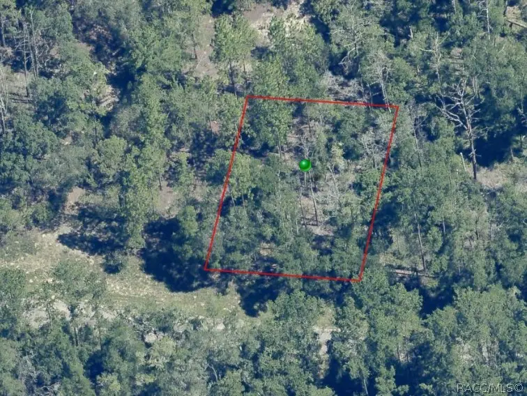 841 E Toledo Drive, Citrus Springs, FL 34434 - #1