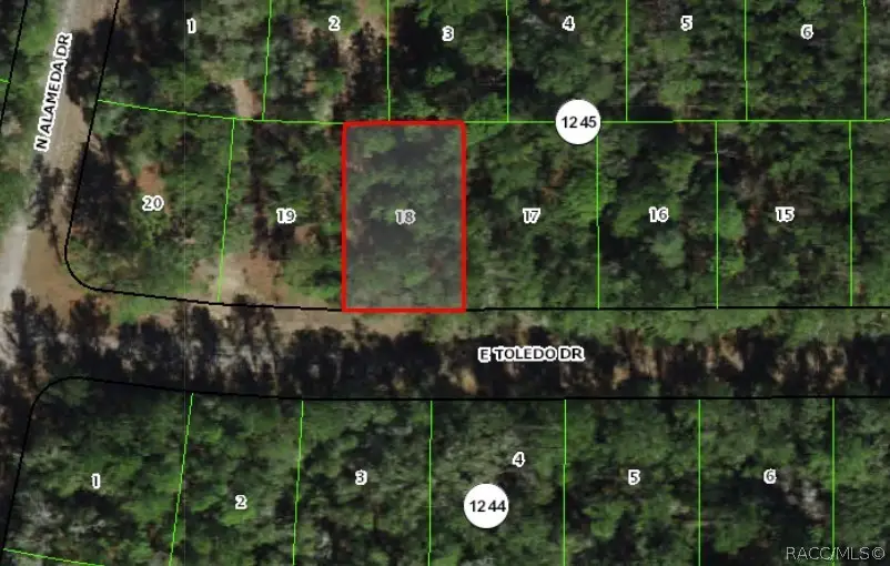 841 E Toledo Drive, Citrus Springs, FL 34434 - #3