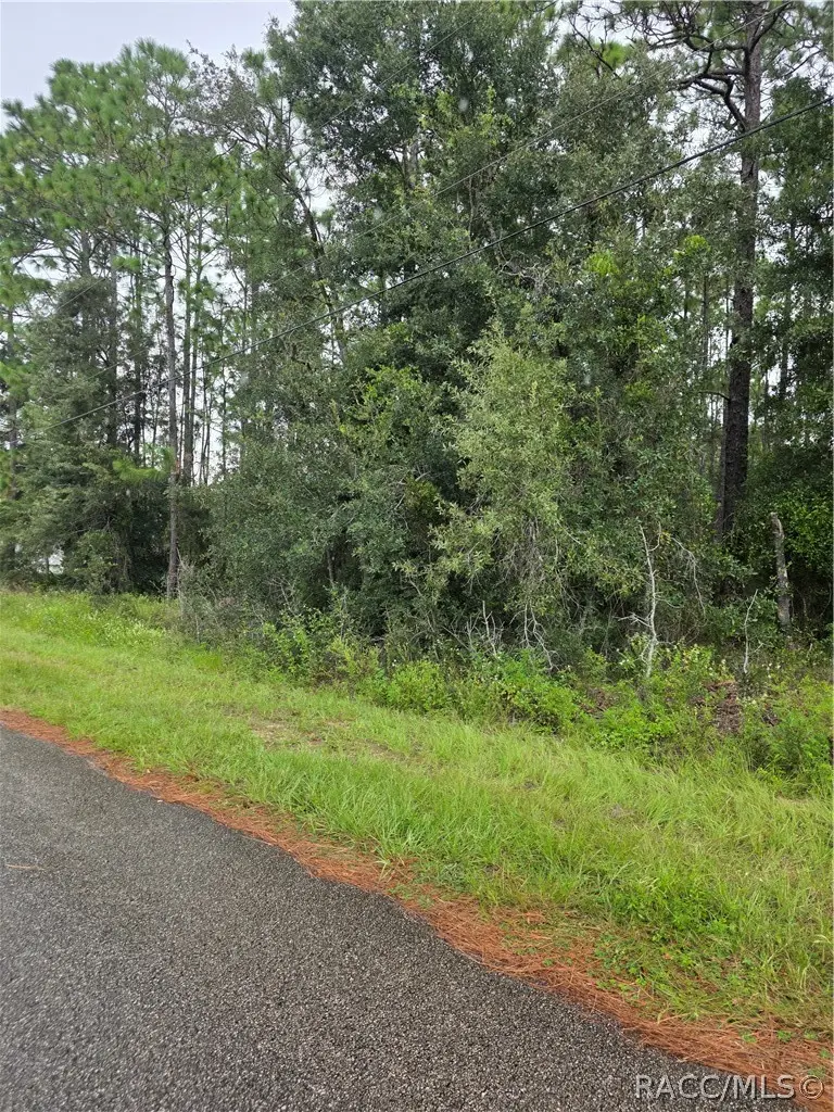 1299 W Tacoma Street, Hernando, FL 34442 - #1