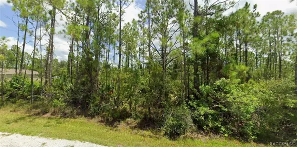 12274 Ripple Drive, Punta Gorda, FL 33955