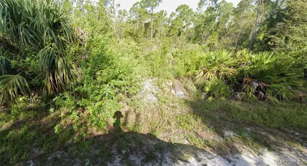 13353 Cappy Terrace, Punta Gorda, FL 33955