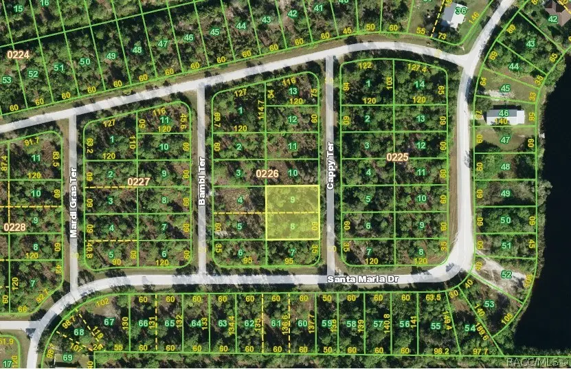 13353 Cappy Terrace, Punta Gorda, FL 33955 - #2