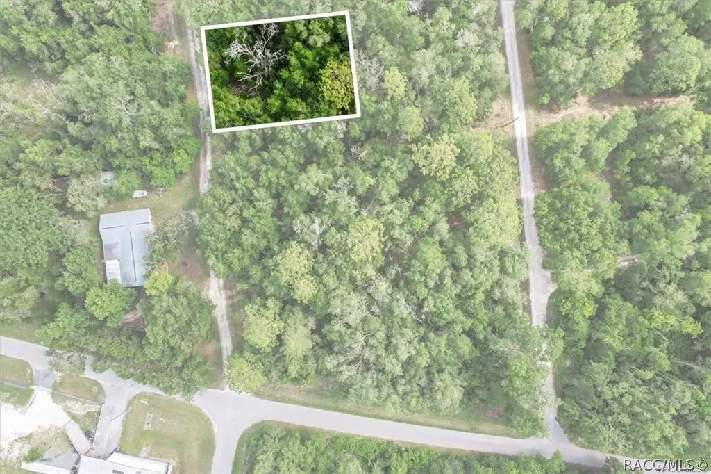 751 S Norma Avenue, Inverness, FL 34453 - #1