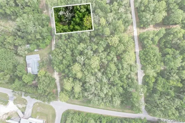 751 S Norma Avenue, Inverness, FL 34453