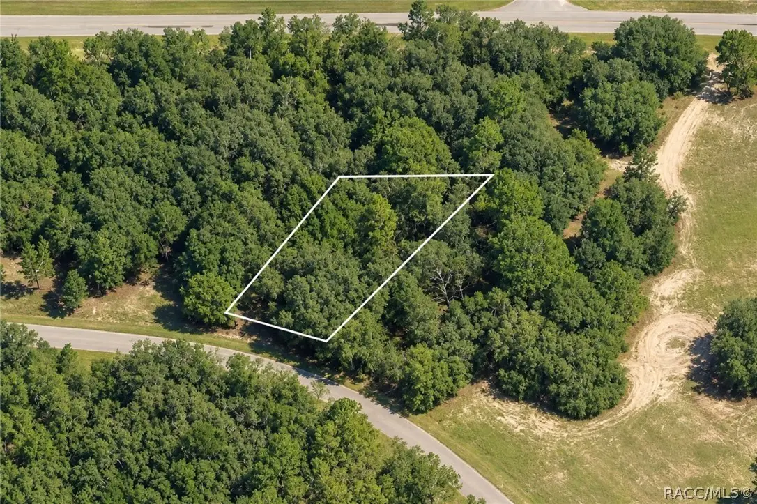 1379 W Hialeah Drive, Dunnellon, FL 34434 - #1