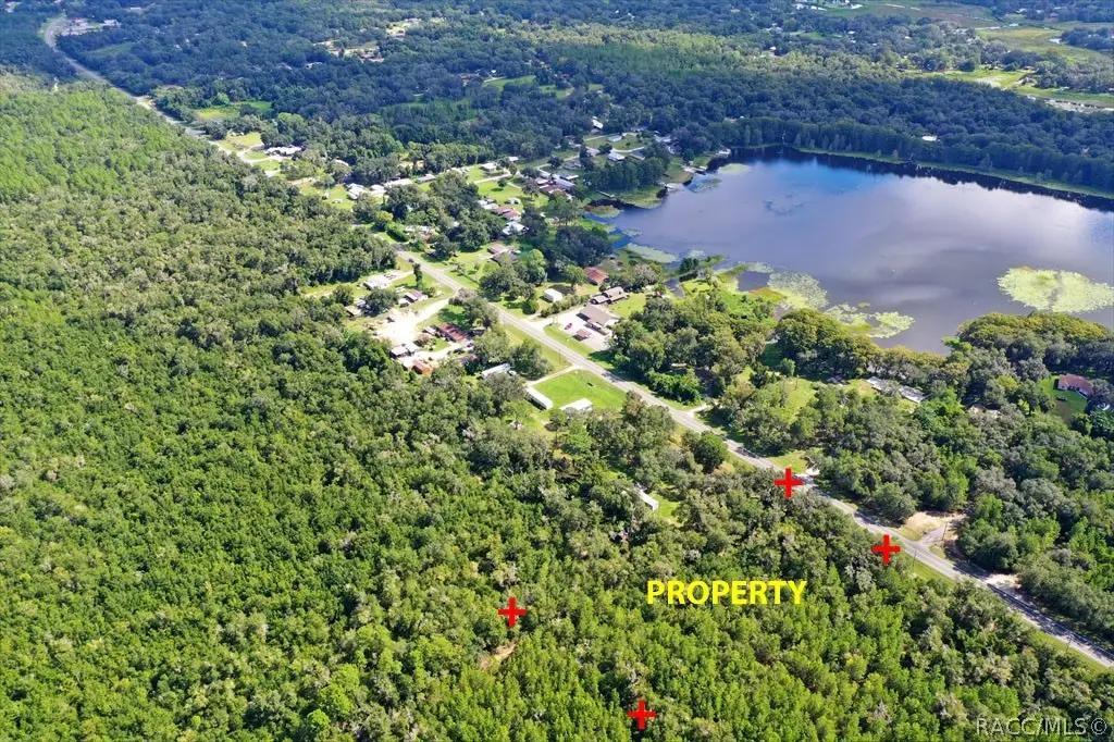 5656 N Carl G Rose Highway, Hernando, FL 34442 - #1