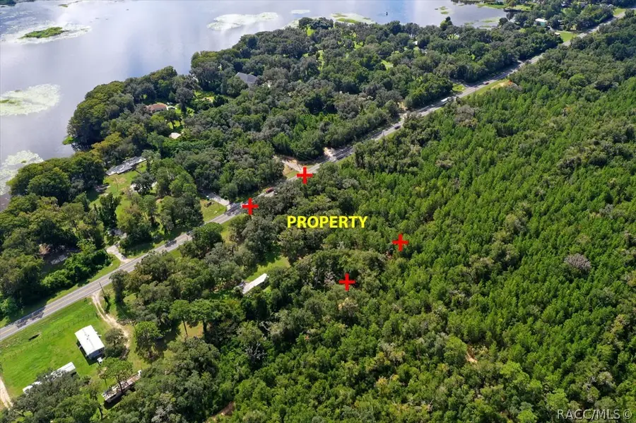 5656 N Carl G Rose Highway, Hernando, FL 34442 - #3