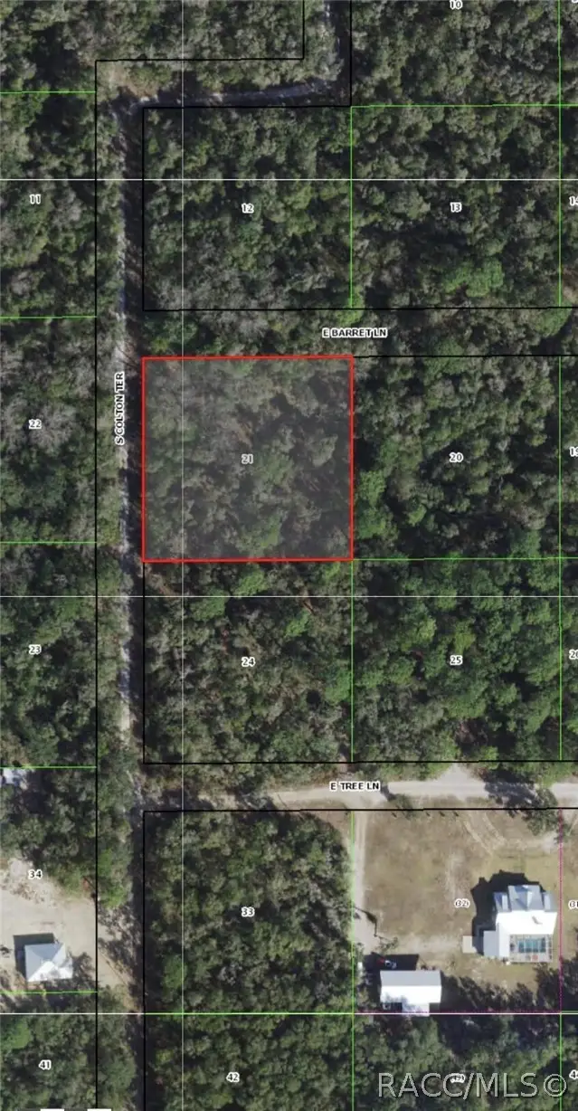 10720 E Barret Lane, Inverness, FL 34450 - #1