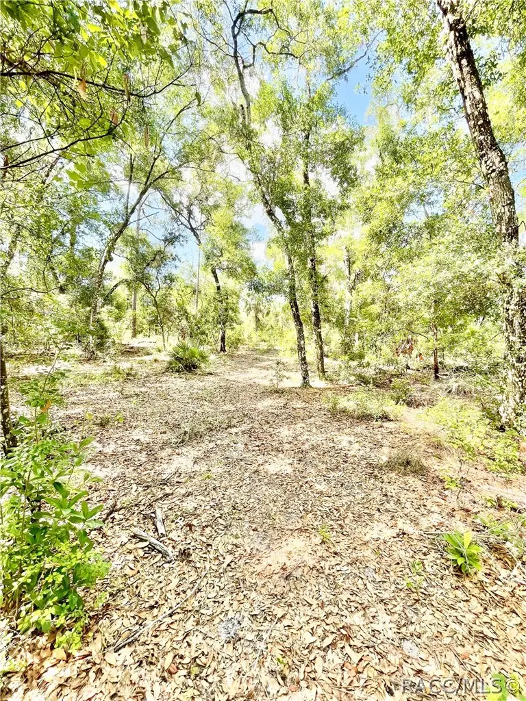 10720 E Barret Lane, Inverness, FL 34450 - #2